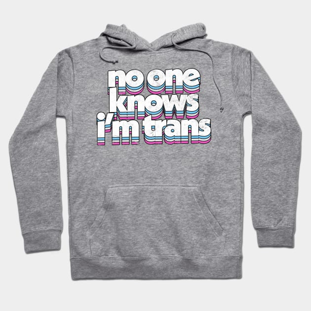 No One Know I'm Trans  - Trans Flag Rainbow Design Hoodie by DankFutura